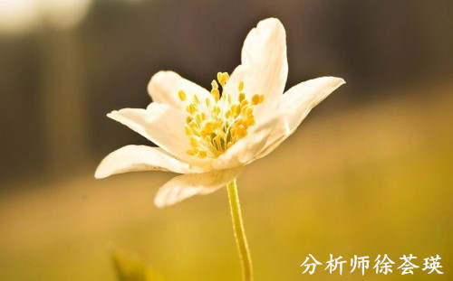 徐荟瑛：10.13多空僵持到何时，思路坚定持续获利，收官谨防黑天鹅