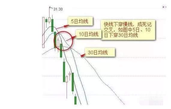 天竞点金：均线买入的法则