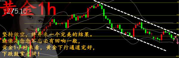 天道酬勤，水滴石穿！80不破黄金继续反弹空！