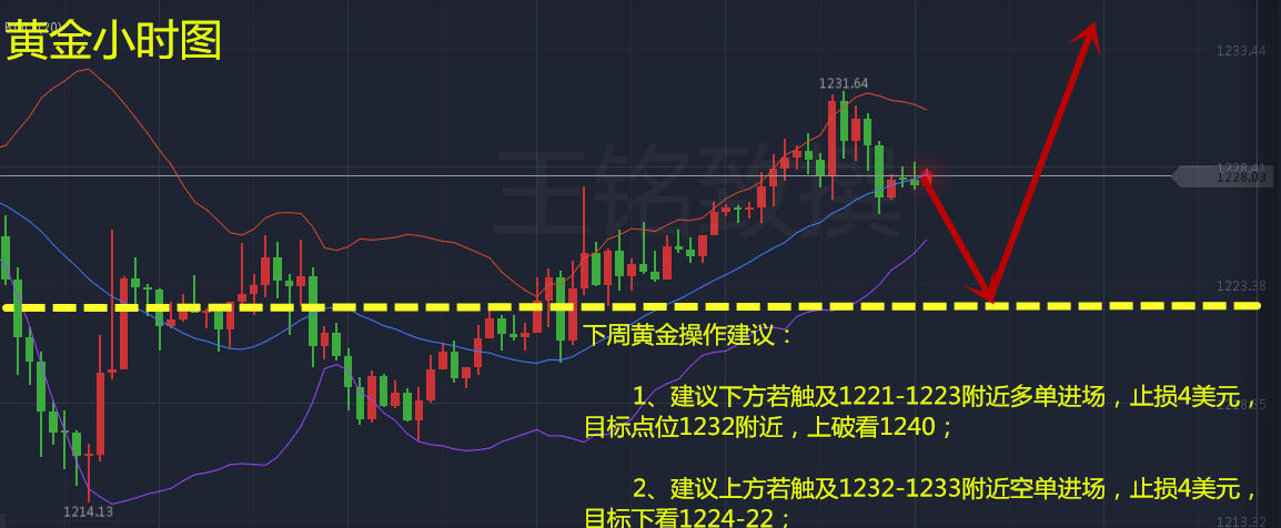 王铭致：黄金初现转机，下周行情预测及建议