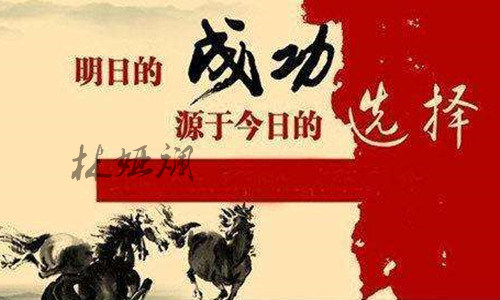 林娅斓：致投资者的一封信，认真看完必有收获