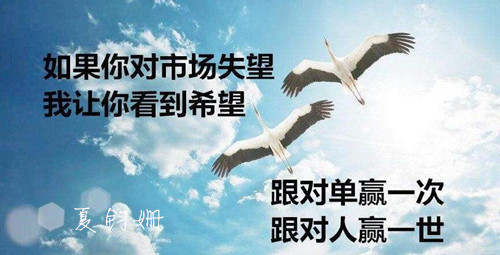 夏钧姗：百万资金投资现货亏损所剩无几，还能回本吗？