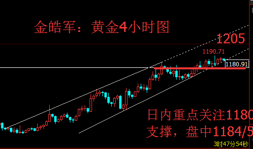 金皓军:1月11日黄金白银原油走势分析及建议