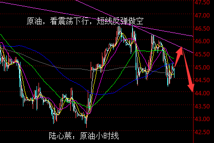陆心莀:冻产艰阻油价续跌,黄金顺势空