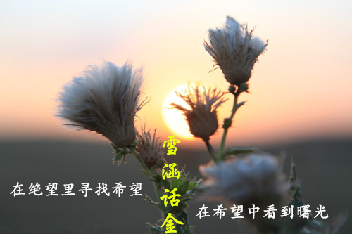 雪涵话金:九月冻产必将失败,周线收官原油多单被套怎么办?