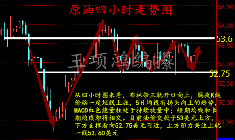 王项鸿：2.19原油震荡难平，下周原油白银黄金走势分析