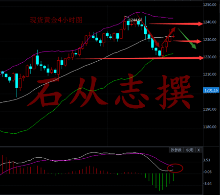 石从志：2.13周一黄金原油做多为主，白银先看回调