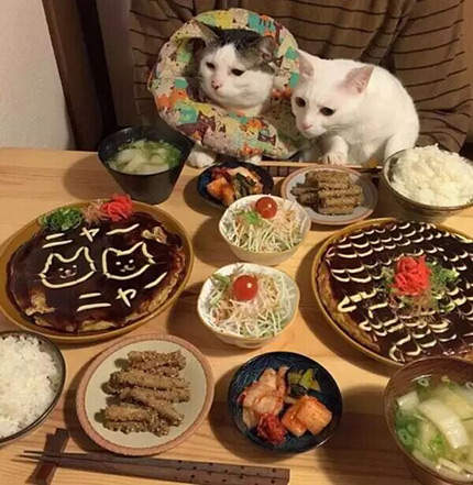 如何优雅地为食物拍一张高逼格照，然后发到朋友圈