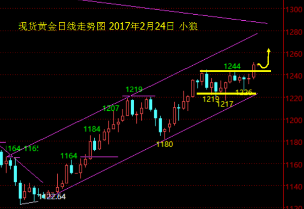 小狼:黄金1245上继续做多,今日看1257