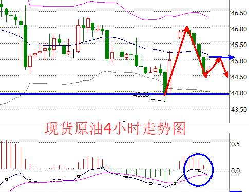 Followme林带,原油,操作,止损,指标,油价