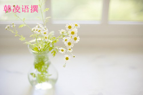 【名家】韩凌语:10.13双EIA火爆来袭,原油沥青日内如何操作