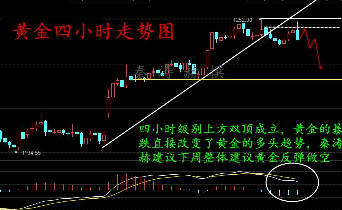 秦涛赫：3.25-26医改遭撤，下周黄金中长线布局附解套