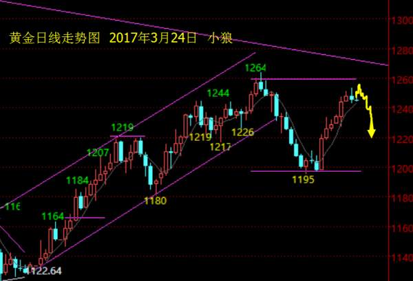 Followme行情,走法,回落,趋势,冲高,反弹