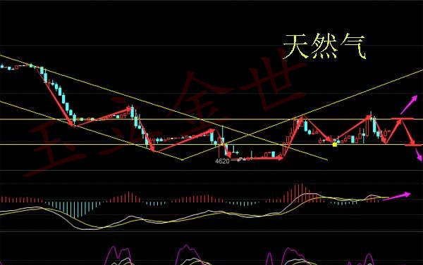 玉立金世：8.16早评沙特官员有意采取行动支撑油价 油气银早间操作