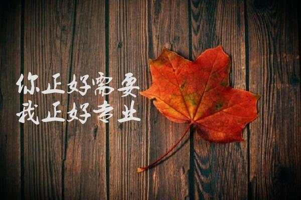范亦风:12.12黄金加息继续搞事,空头不息盈利不止