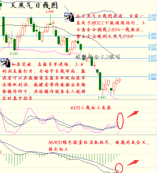 婉婵析金:3.2晚间天然气EIA提前布局,抄底准备好了吗