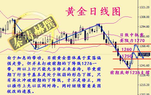 秦涛赫：加息后黄金趋势是否反转，12.14后市黄金如何操作