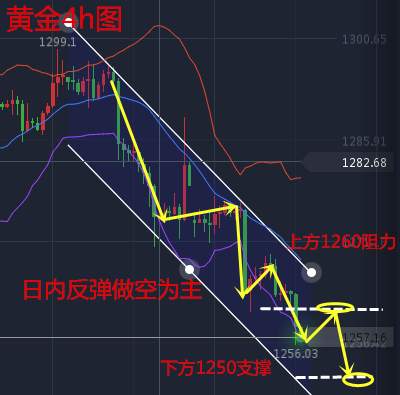 袁祺鸿：外汇平台有问题该怎么办？12.7黄金走势分析