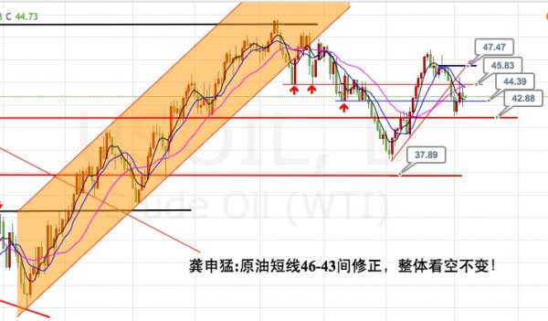 龚申猛：黄金白银波段多单临近关键点位，大势继续看涨！