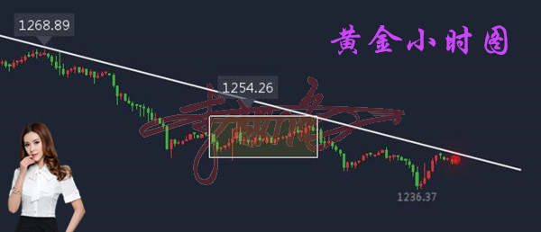 Followme加息,黄金,锁仓,行情,下跌,高点