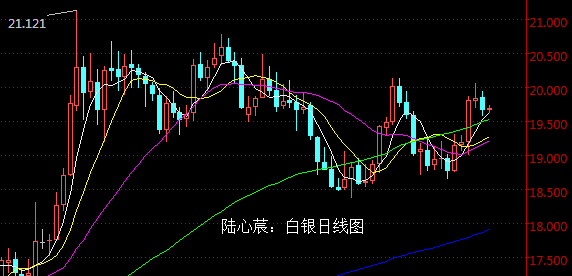 陆心莀:金银短期调整,原油放心空
