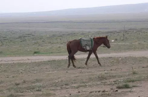 关于思维方式。