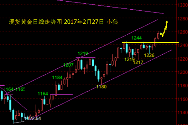 小狼:黄金早盘1255直接多,今日看1266