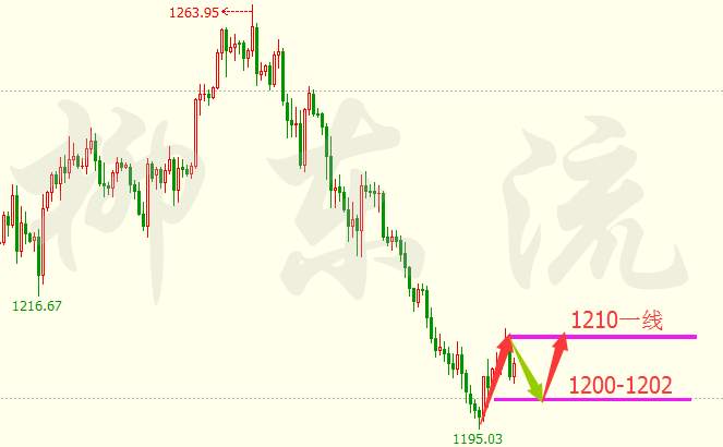 柳东流：3.13黄金上方关注1211，原油依旧保持高空节奏