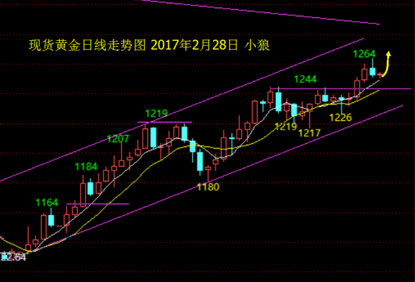 小狼:黄金多单持仓,晚盘先看1260