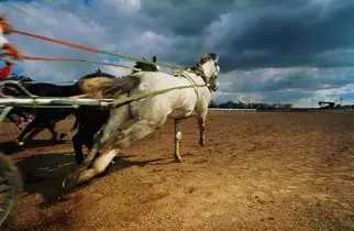 关于思维方式。