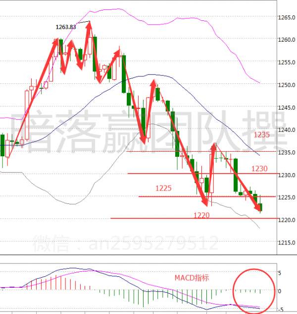 暗落赢：3.7午夜金评金银空头强劲狂欢原油静待API数据操作