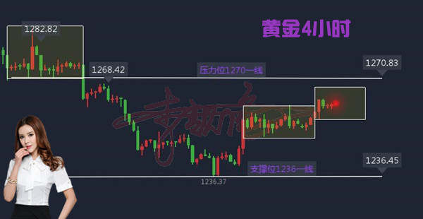 Followme黄金,空单,操作,收线,老师,李靓依