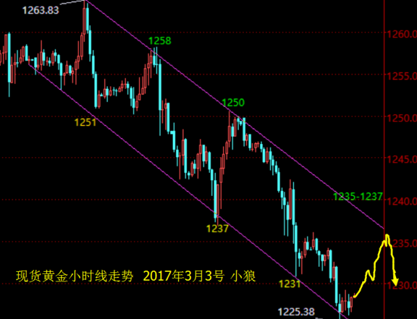 小狼:黄金1227先多看反弹,尾盘做空要谨慎