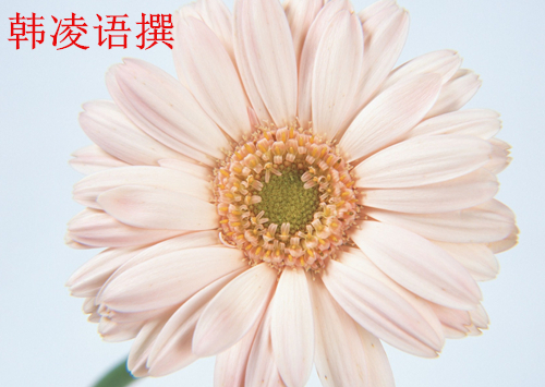 【名家】韩凌语:9.27金价走软,现货黄金今日走势分析