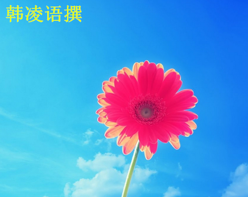 【名家】韩凌语:9.13原油沥青后期走势如何,如何正确面对亏损