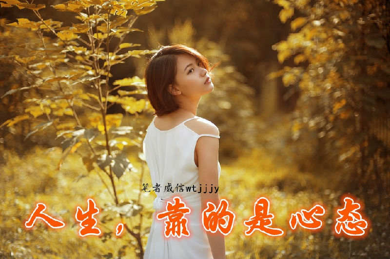 feed image