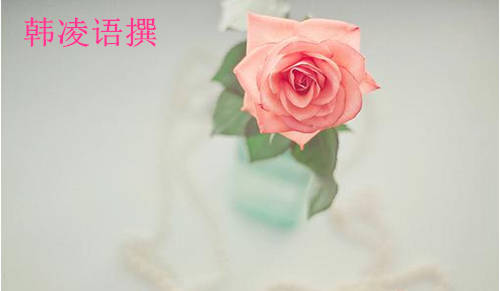 【名家】韩凌语：12.19耶伦讲话或偏鹰，原油短线或将承压？