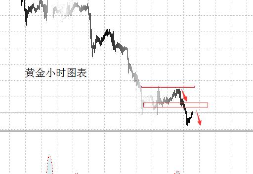 李兴淼：反抽测试阻力回落黄金依然选择做空