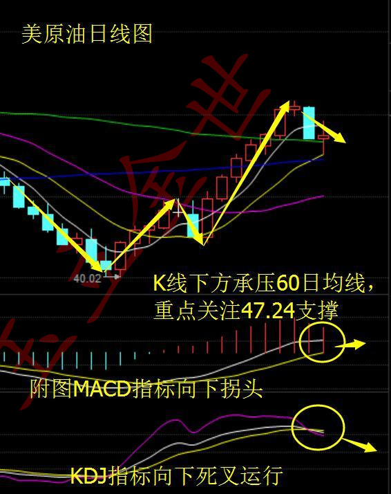 玉立金世:8.24早评API数据解读原油白银天然气操作建议