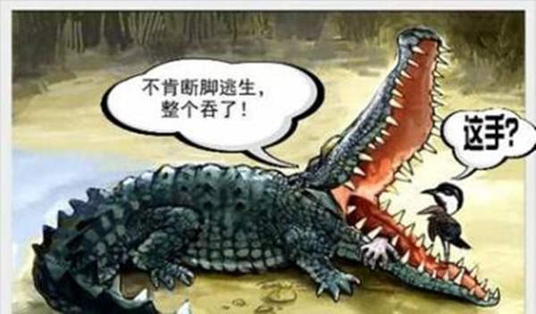 叶晓欧：铜市暴涨行情绝不简单 ，现货铜进入牛市