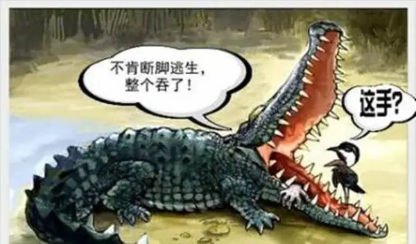 叶晓欧：铜市暴涨行情绝不简单 ，现货铜进入牛市
