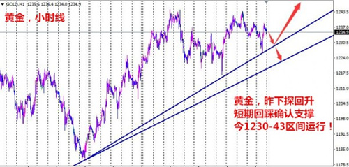 单晨金:2.22现货黄金上演暴跌反弹欧美政局推波助澜