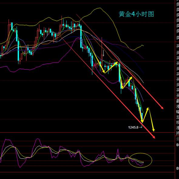 秋平论金：12.8黄金连续破低砸底，非农夜能否反击，早间分析