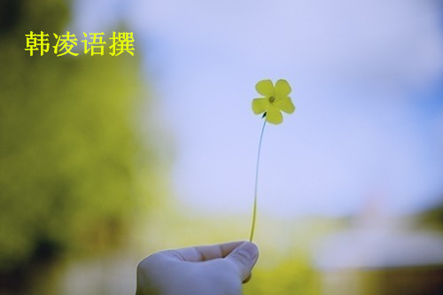 【名家】韩凌语:10.10美国大选对原油白银有何影响?晚间操作建议