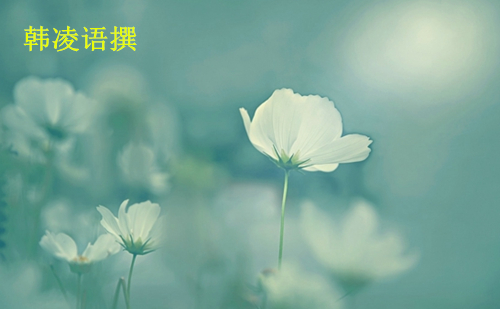 【名家】韩凌语:9.29原油为何暴涨暴跌?后市走势分析及解套