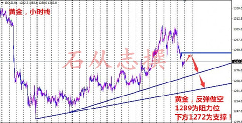 石从志:11.8大选期间应对市场变化策略,黄金白银晚间行情操作建议