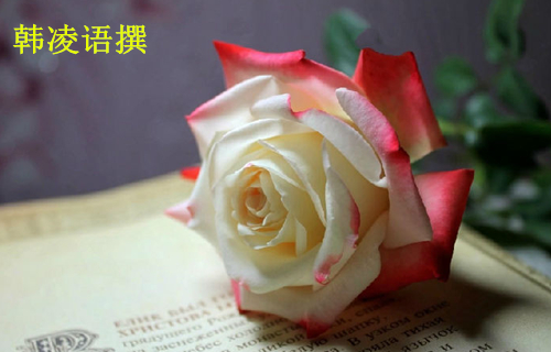 【名家】韩凌语:9.23原油天然气为何暴涨跌?原油天然气操作策略