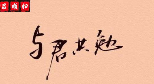 税改难阻黄金多头趋势，回调做多，别再为错误买单