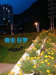 任骏点金：8.13“恐怖数据”助涨收官，原油空单在线解套