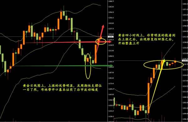 多项警报是否解除 黄金趋势后劲很足